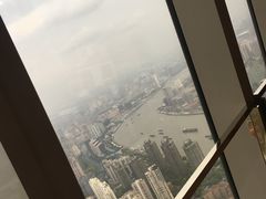 -上海柏悦酒店·世纪100牛排馆