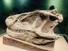 -自贡恐龙博物馆