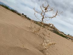 -黄沙古渡原生态旅游区