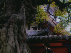 -三苏祠