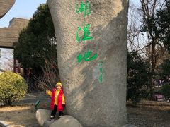 -溱湖国家湿地公园