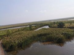 -盐城丹顶鹤湿地生态旅游区