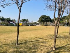 -野狸岛