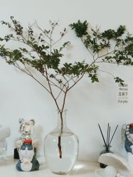 -美肤盾祛痘·问题肌头疗管理中心