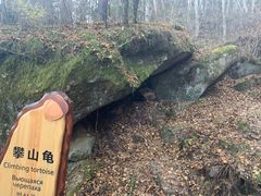 -汤旺河林海奇石景区