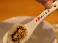 -海丝金凤(金鱼店)