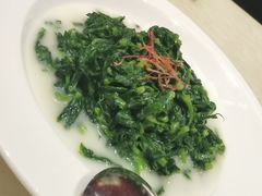 上汤浸豆苗-8餐厅(新葡京酒店)