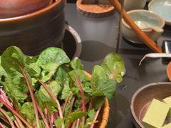 -季季山·云南野生菌火锅(上海首店)