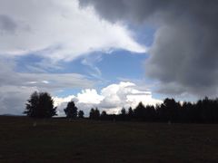 iphone_upload_pic-木兰围场