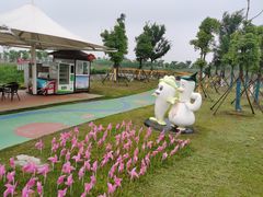 -洪湖湿地生态园