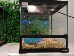 -狗道宠物(常熟印象城店)