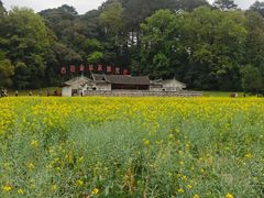 -古田会议纪念馆