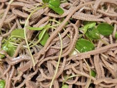 香椿豆腐丝-渠口周家肉饼