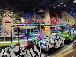 点击看大图 -卡通尼·Safari非洲探索乐园·生日会(金桥国际商业广场店)