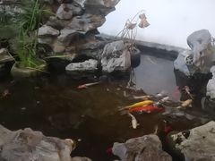 -道南書院·私房菜·早午茶·茶馆