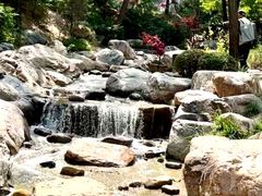 -大连植物园