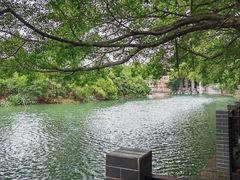 -小洲村