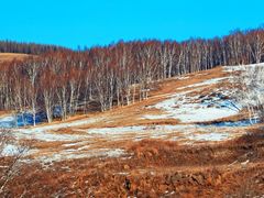 -塞罕坝国家级自然保护区