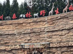 -贵州森林野生动物园