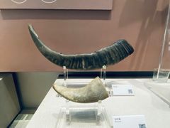 -中国民族乐器博物馆