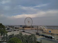 -奉贤海滩