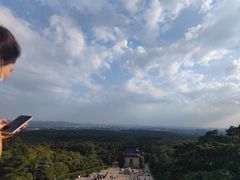 -金陵红鲤鱼餐厅(孝陵卫紫金山店)