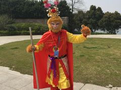 -桃花岛景观公园