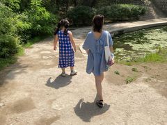 -白水寺森林公园