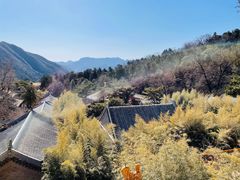 -潭柘寺景区