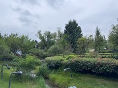 -成飞公园