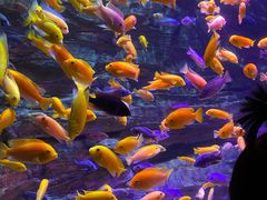 -多彩贵州城极地海洋世界