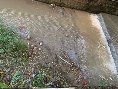 -汤锅大王(新平曹苏黄牛汤锅有限公司)