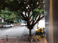 -广东省人民体育场