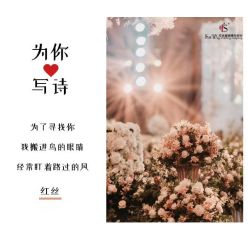 -红丝高端婚礼中心(旗舰店)