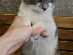 android_upload_pic-MIKAKU(万达广场上海宝山店)