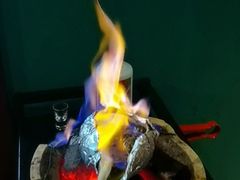 炭烤响螺-金龙·打边炉(南京西路店)