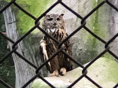-哈尔滨北方森林动物园
