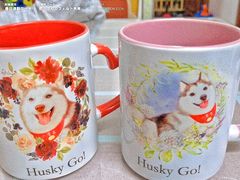 -Husky Go! 哈士奇体验馆·宠物咖啡厅狗咖