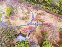 -黄陂区野村谷景区