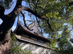 -西园戒幢律寺