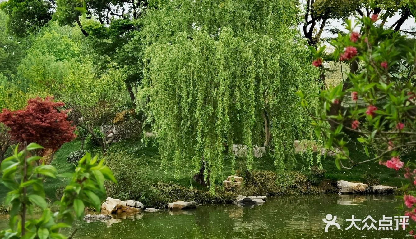 扬州这副画好美，自然之美展现华夏民族魅力！🌿🍀