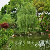 扬州这副画好美，自然之美展现华夏民族魅力！🌿🍀