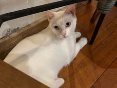 -懒鱼时光馆(沙坪坝店)