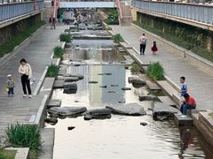 -光明刘冰乳鸽店(光明法政北路店)