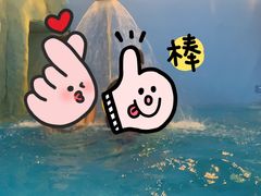 -广州融创水世界