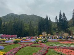 -深圳仙湖植物园