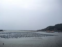 -南麂列岛