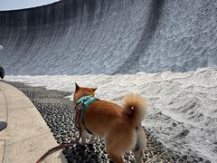 -观潮胜地公园
