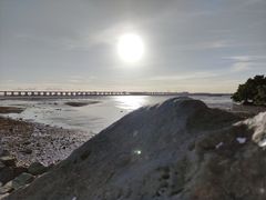 -宝安西湾红树林湿地公园