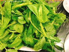 -江湖黑大兔(杨家坪店)